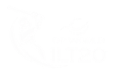 DP World ILT20